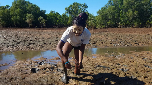 WHY-WE-PLANTED-600-TREE-WHEN-BUILDING-OUR-WEBSITE Reflo