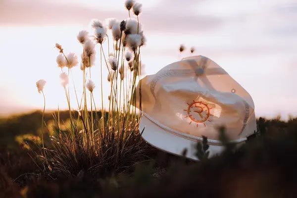 Midnight Sun Collection Reflo